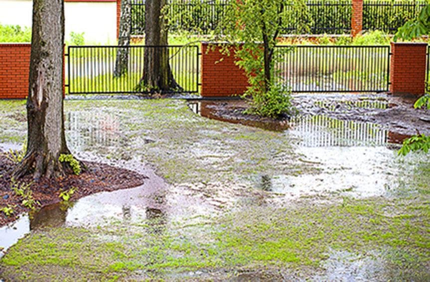 Redirect Rainwater And Use It To Improve Your Landscape | Severna Park